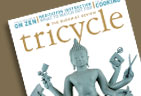 TriCycleCvr2