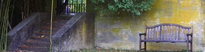 cal-fall_0022