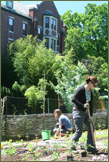 webgardening_2331