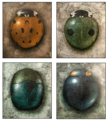 Robert Spellman: Beetles