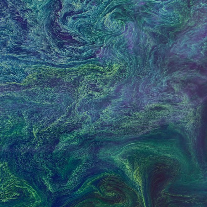 An algal bloom in Baltic Sea, as captured the ESA Sentinel 2 Satellite.