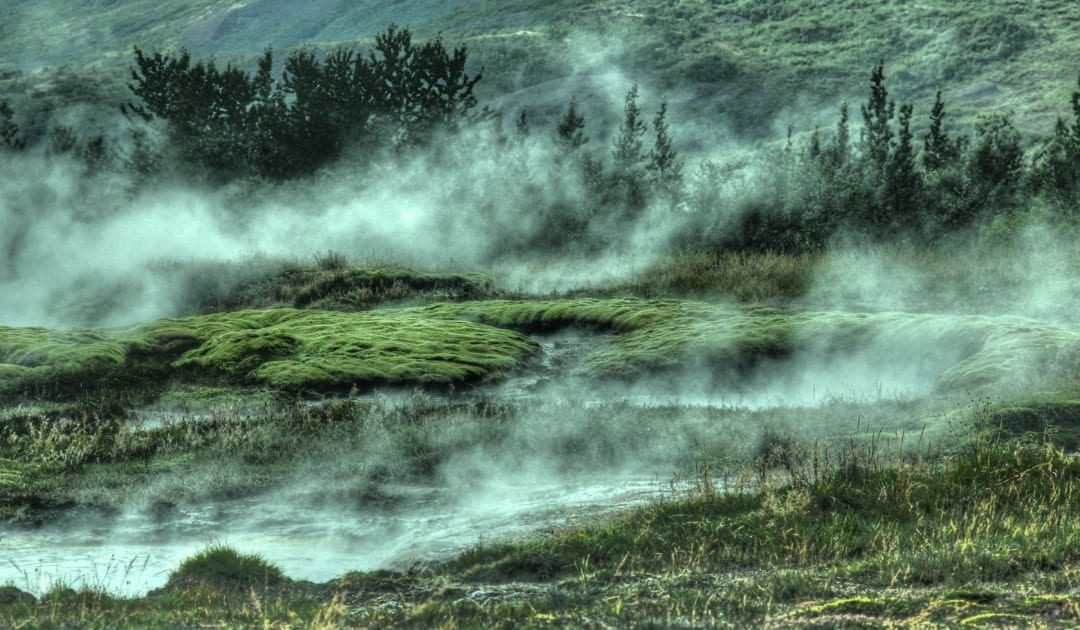 Toward a Contemplative Ecology