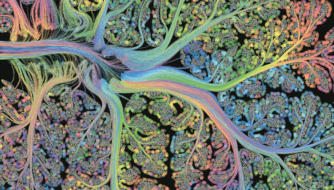 Art by Greg Dunn, Illustrating the brain of Altered Traits