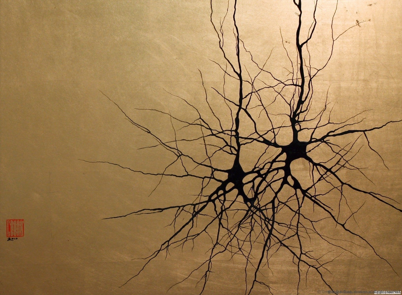 Веретеновидные нейроны. Нейронное дерево. Нейрон красивый. Нейрон микрофотография. Нервная клетки микротография.