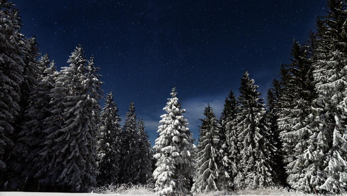 Photo: Paul Itkin via Unsplash winter grateful gratitude