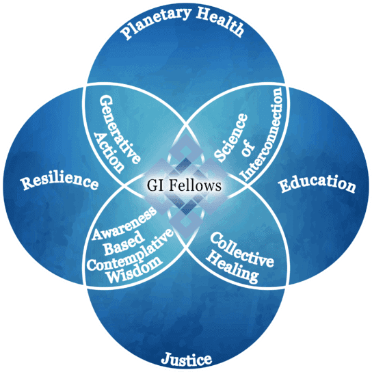 Fellowship Venn diagram