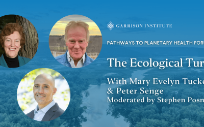 The Ecological Turn
