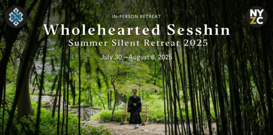 Wholehearted Sesshin: Summer Silent Retreat 2025 at the Garrison Institute NY