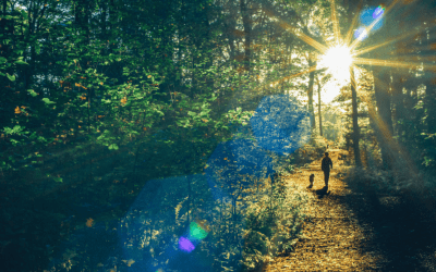 Finding Wholeness & Healing Within Heartbreak