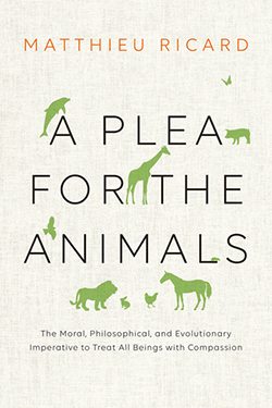 The Moral Obligation to Treat All Beings with Compassion