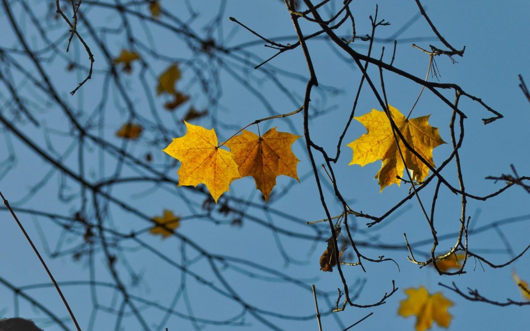 The Force of the Storm