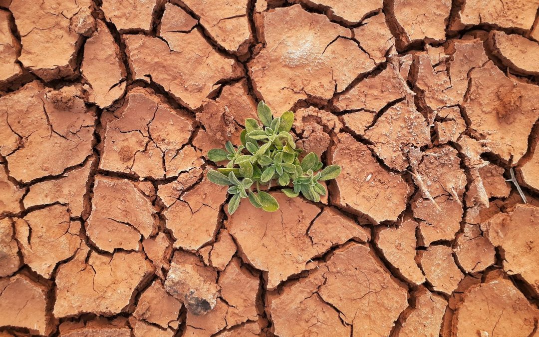 An Impossible Alignment