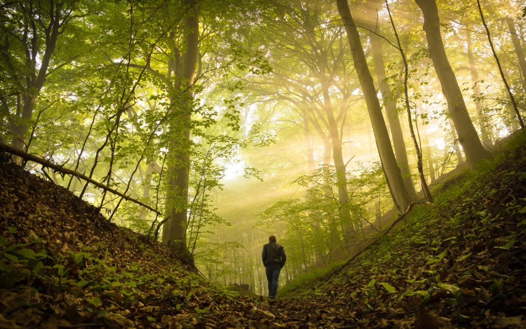 The Sacred Science of Trees