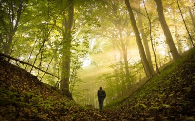 The Sacred Science of Trees
